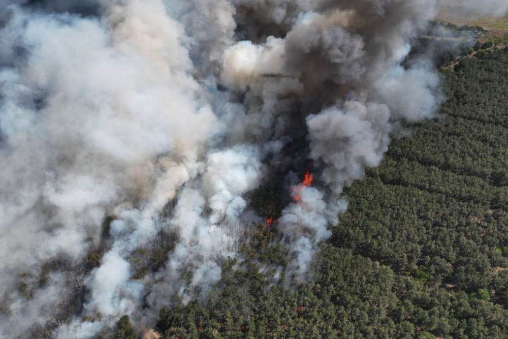 В Україні оголошено надзвичайний рівень пожежної небезпеки на Миколаївщині горить Андріївській ліс 1