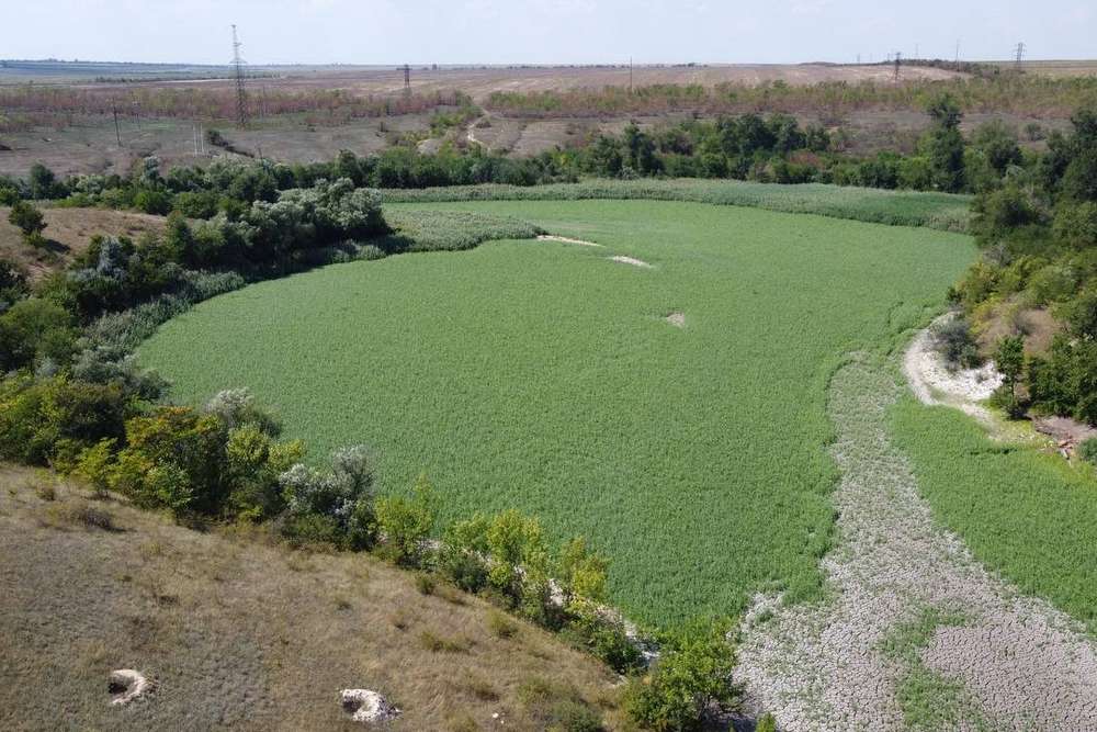 Замість Каховського водосховища зелені ріки. Чому екологи проти відновлення ГЕС 6