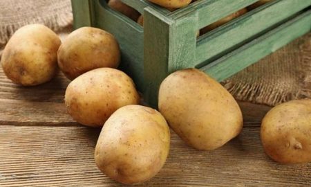 Де і як зберігати картоплю в домашніх умовах довгий час – корисні поради