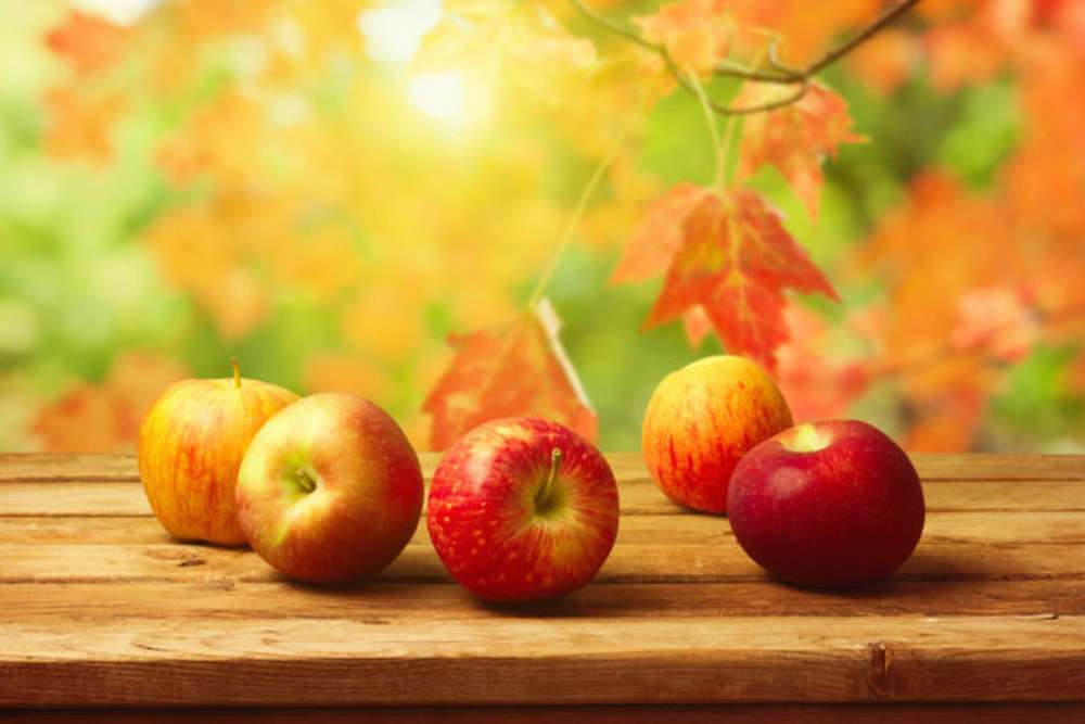Як обрізати яблуні восени 6