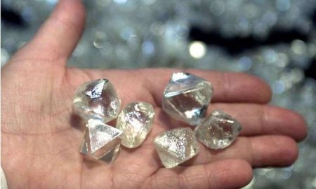 Маленька дівчинка знайшла діамант в парку у свій день народження