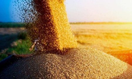 Україна судитиметься з Польщею, Угорщиною та Словаччиною через заборону на імпорт зерна