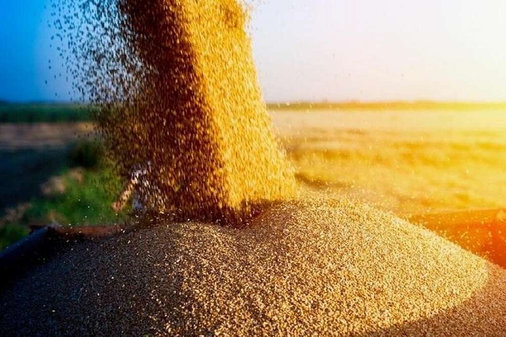 Україна судитиметься з Польщею, Угорщиною та Словаччиною через заборону на імпорт зерна
