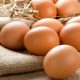 В Україні прогнозують підвищення цін на яйця – як зміниться вартість