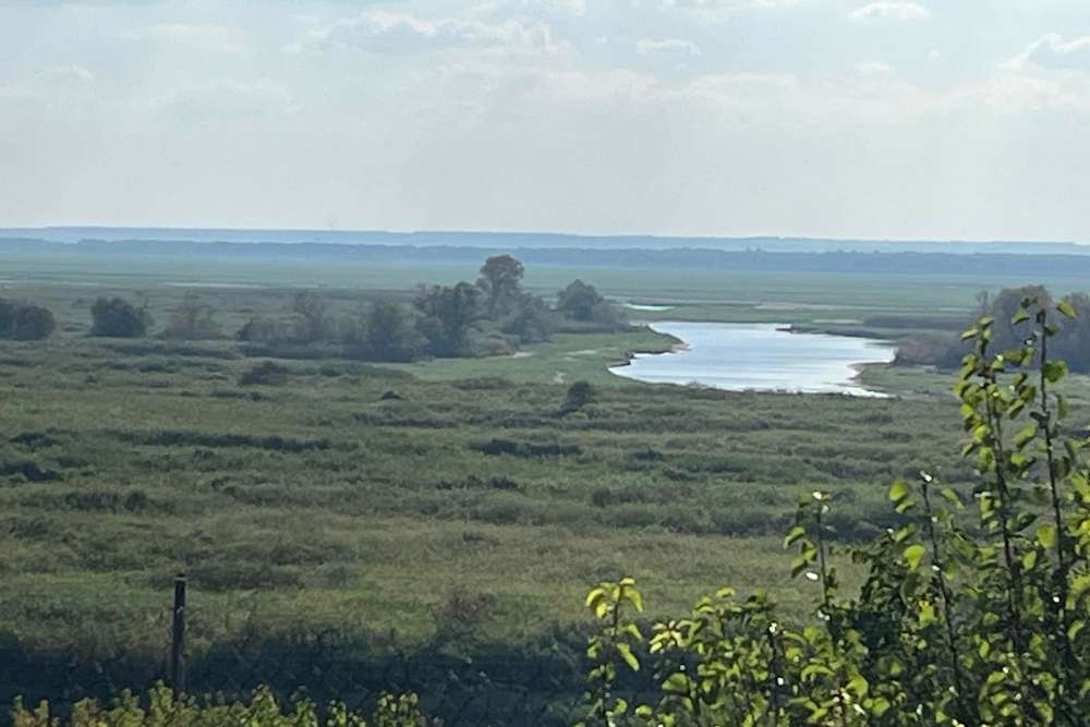 «Сумно бачити ліс замість моря» - запорізький депутат показав, як виглядає «Каховське водосховище»