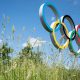 До програми літньої Олімпіади-2028 включено 5 додаткових видів спорту - МОК