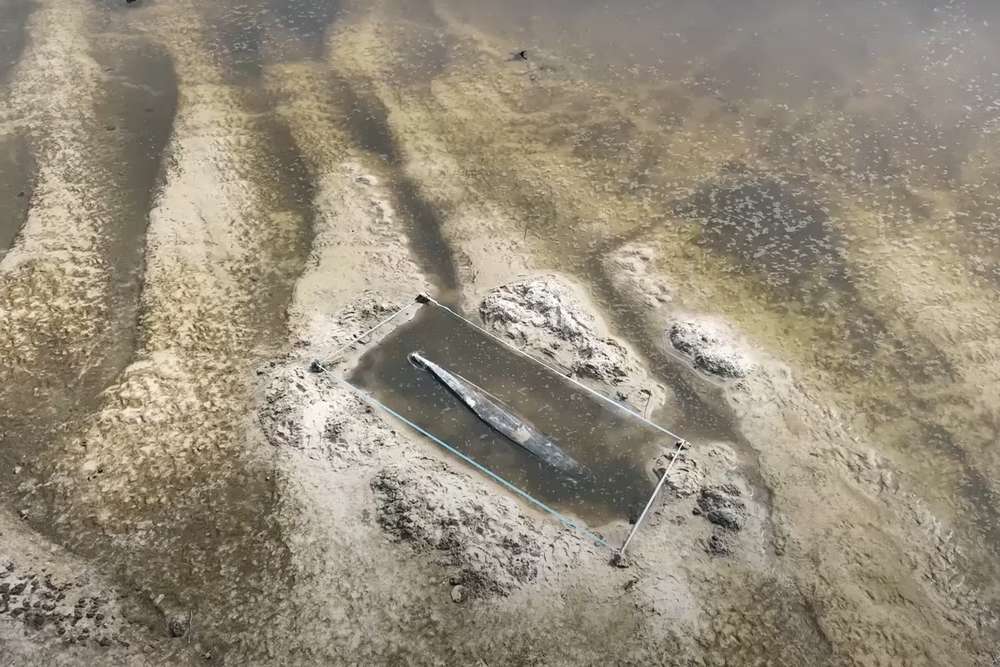 З обмілілого Дніпра підняли унікальний артефакт, вік якого може перевищувати 1000 років