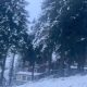 Сніжний ранок у Карпатах 16 жовтня (відео)