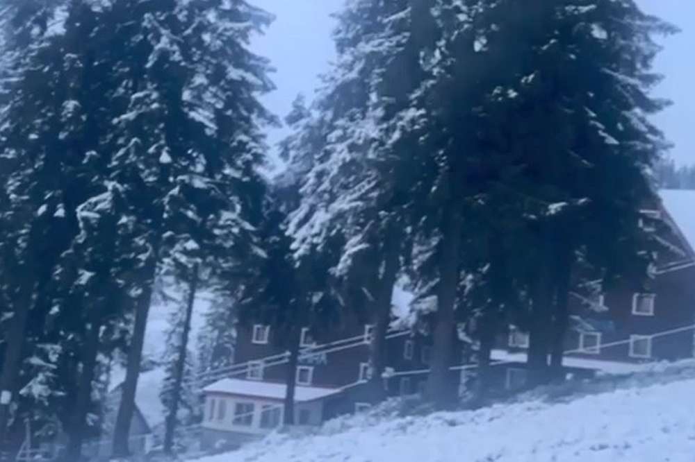 Сніжний ранок у Карпатах 16 жовтня (відео)