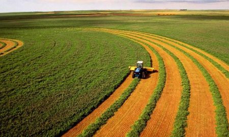Земля в Україні подорожчала ціни на гектари в областях