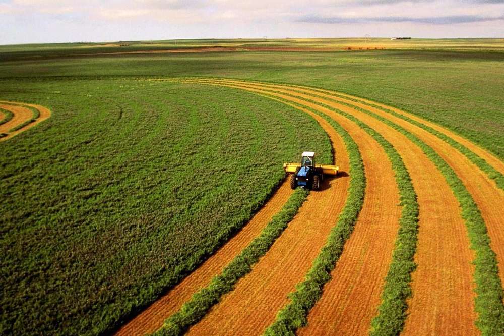 Земля в Україні подорожчала ціни на гектари в областях