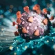 В 6 областях України виявили новий штам коронавірусу «Еріс»: має специфічний симптом