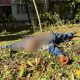 Серед загиблих комунальник, що обрізав дерева: росіяни вранці обстріляли Херсон