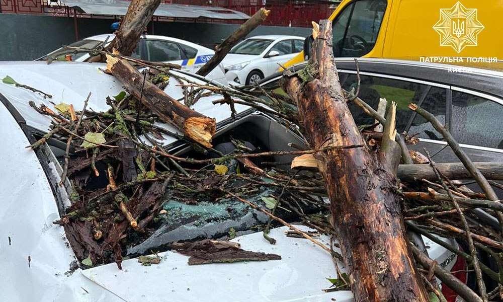 Шалений вітер у Києві зриває дахи і валить дерева: є жертви (фото, відео)