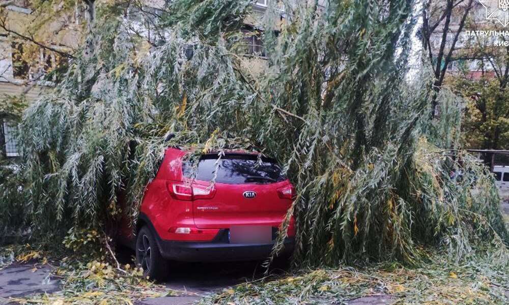 Шалений вітер у Києві зриває дахи і валить дерева