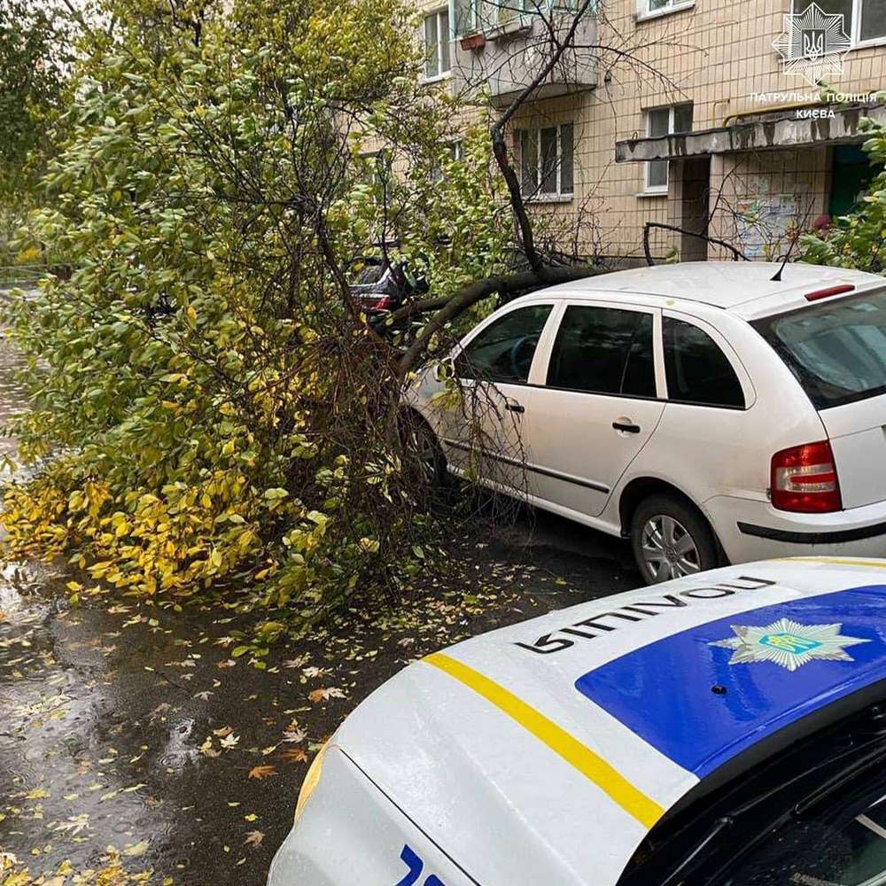 Шалений вітер у Києві зриває дахи і валить дерева: є жертви (фото)
