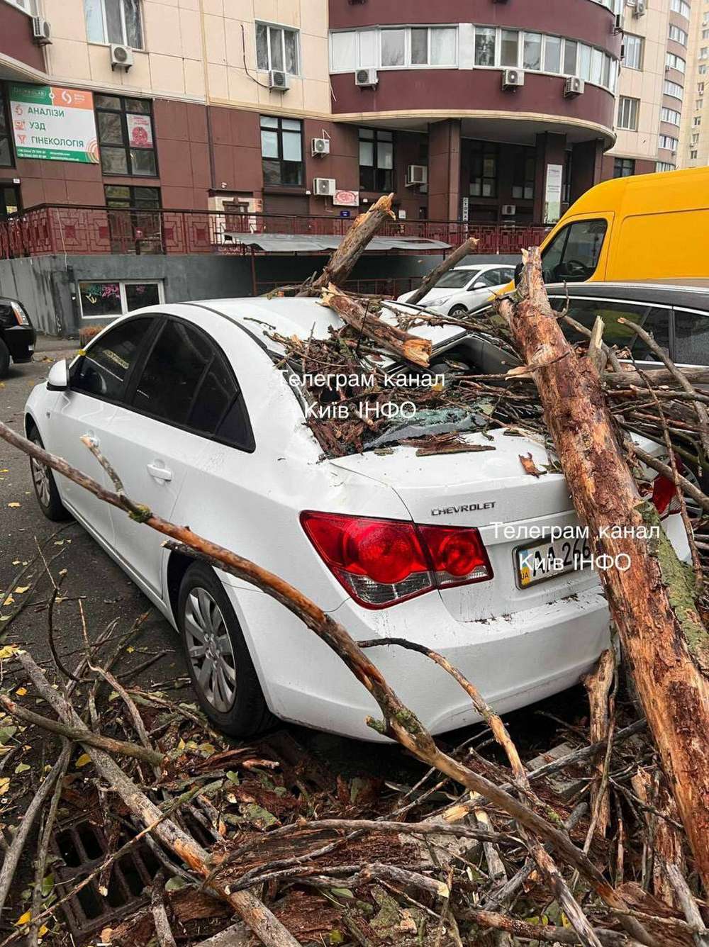 Шалений вітер у Києві зриває дахи і валить дерева: є жертви (фото)