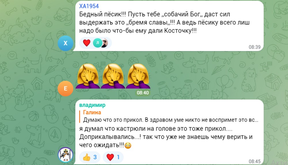 «Церква пса Патрона» росіяни пробило дно новим фейком про Україну1