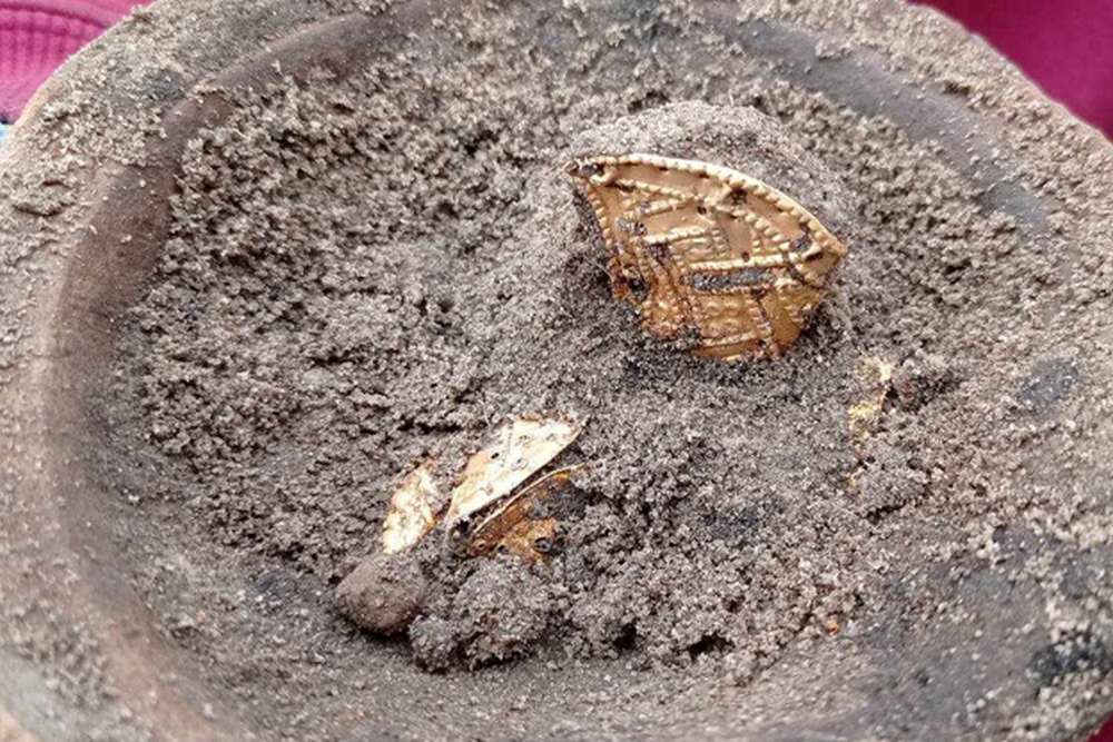 У Білій Церкві знайшли золотий скарб часів Гетьманщини – як виглядають унікальні артефакти (фото)