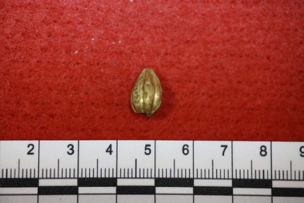 У Білій Церкві знайшли золотий скарб часів Гетьманщини – як виглядають унікальні артефакти (фото)4