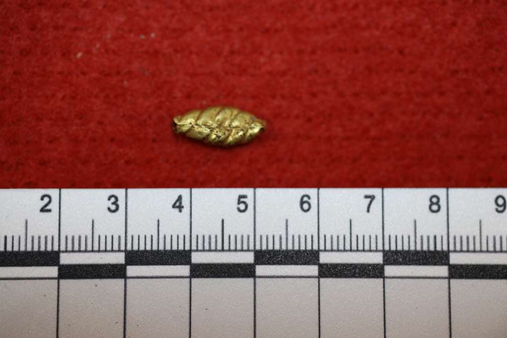 У Білій Церкві знайшли золотий скарб часів Гетьманщини – як виглядають унікальні артефакти (фото)5