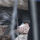 Щемливе відео: рятувальникам вдалося визволити з-під завалів чоловіка у Харкові
