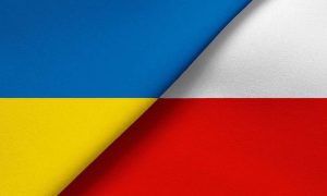 Українські підприємці масово розривають контракти з поляками: у Польщі занепокоєні