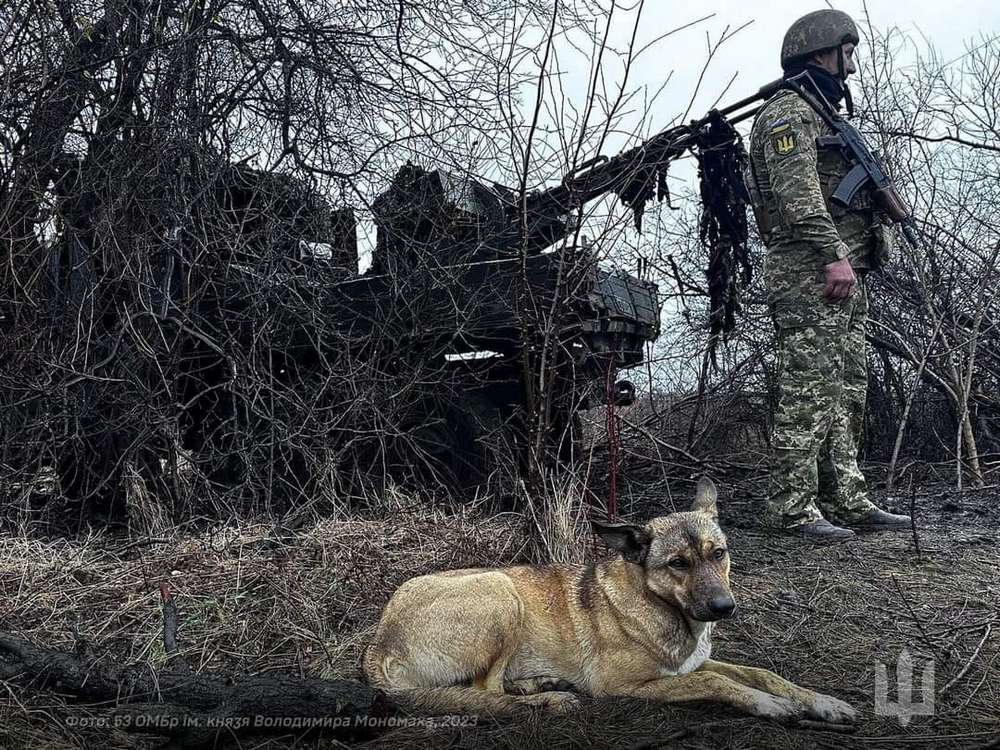 Українські Захисники показали своїх пухнастих помічників (фото)