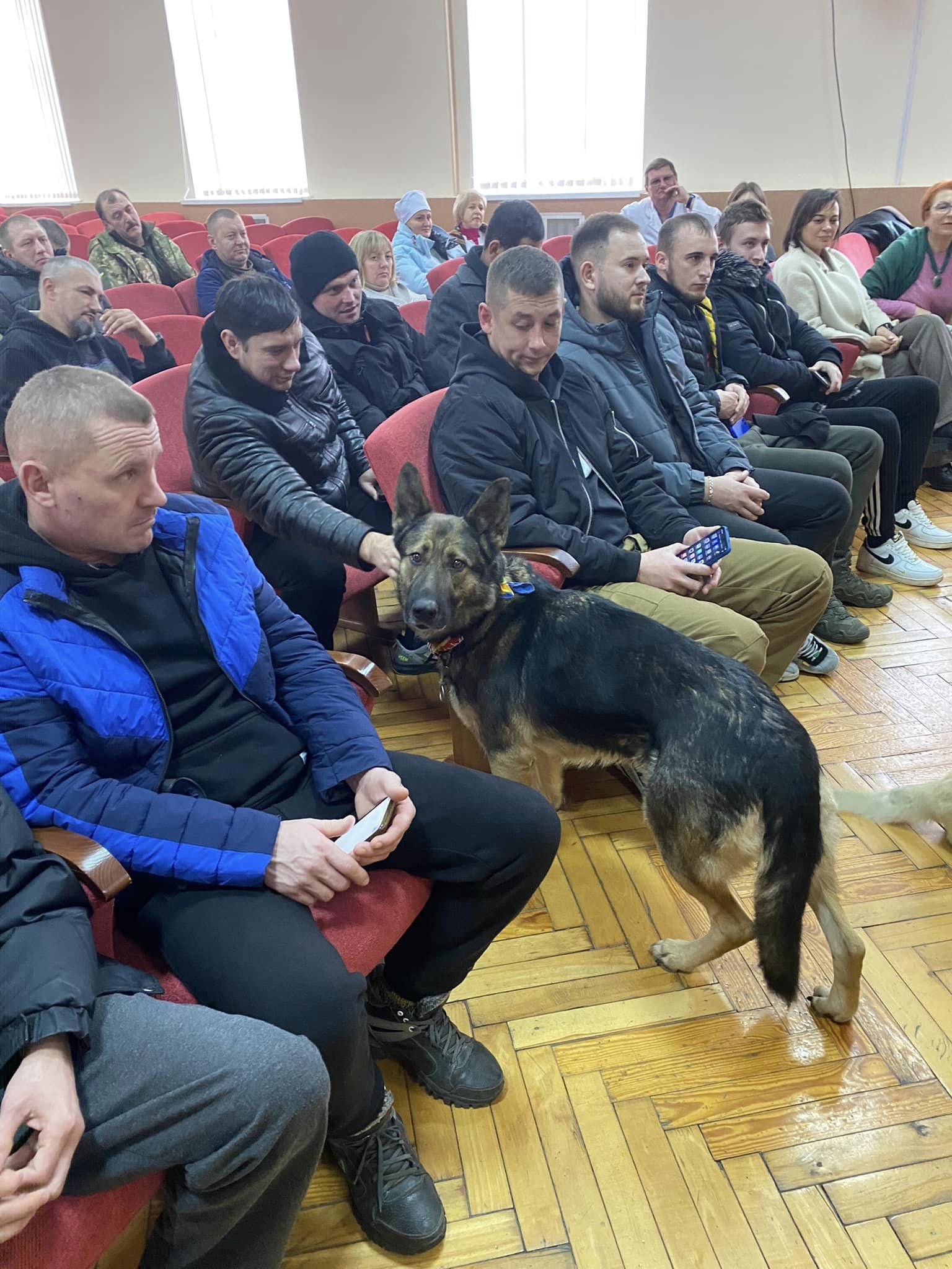 тварини допомагають в реабілітації військових