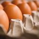 Ціни на яйця змінилися – скільки зараз коштує 10 штук66