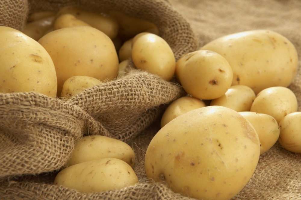 Ціни на картоплю у Європі стрімко зростають – овоч подорожчав на 158%