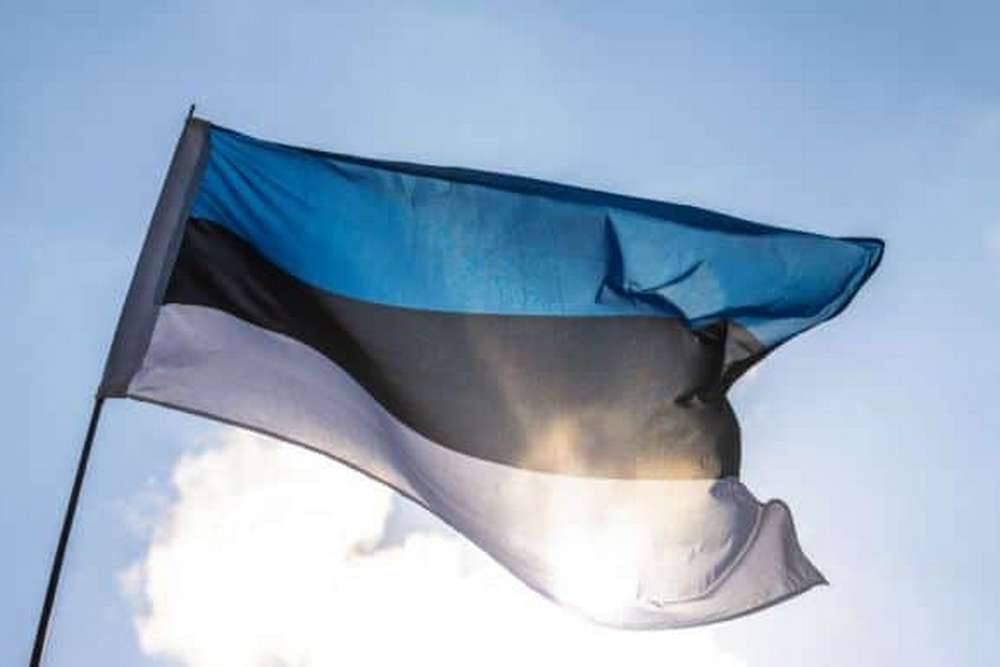 В Естонії допускають допомогу з мобілізацією українських чоловіків