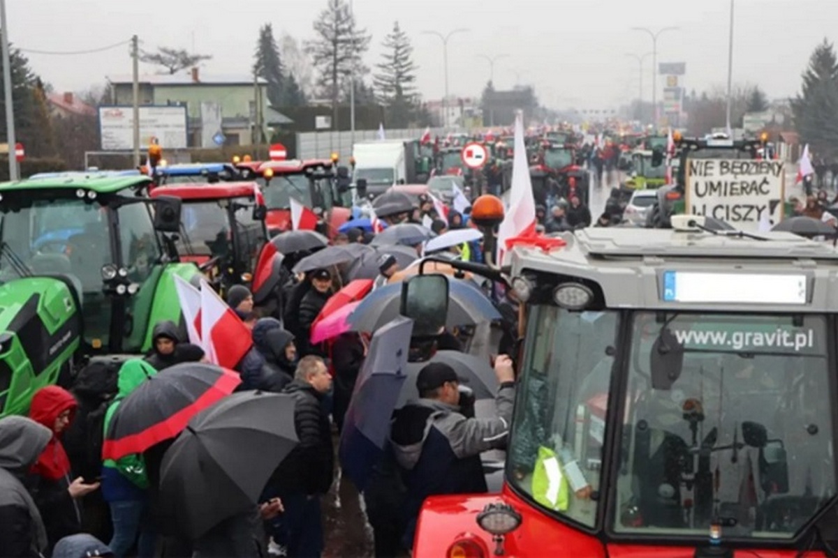 Поляки вийшли на масові протести
