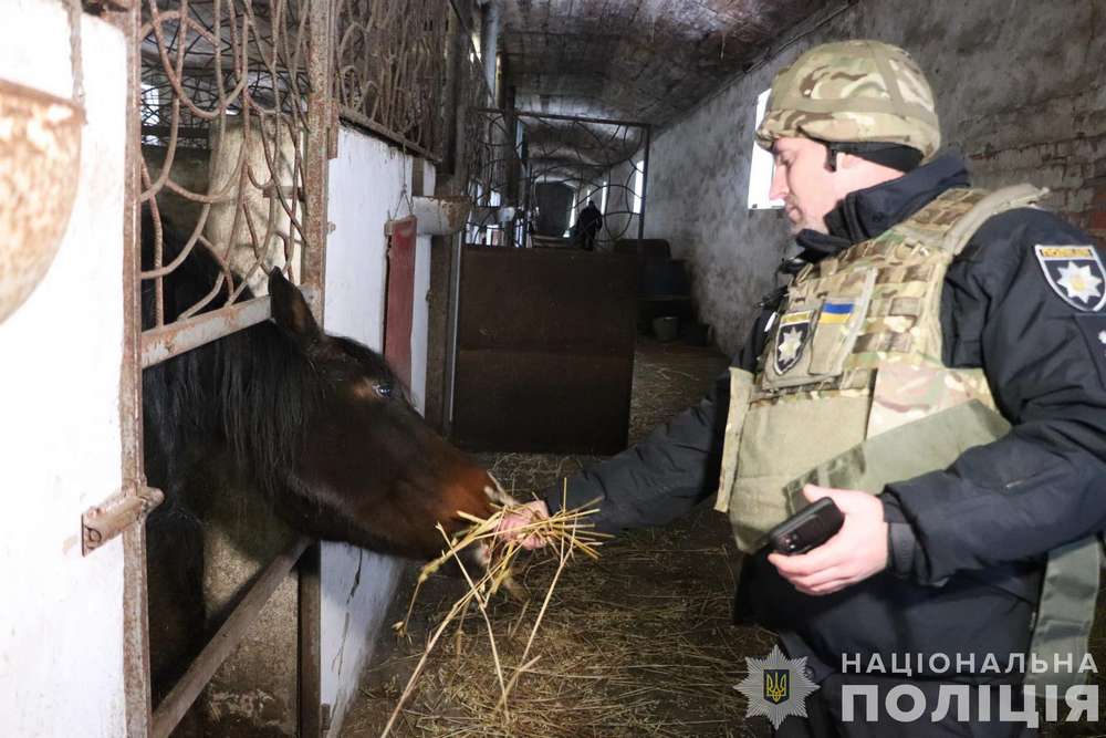 На Харківщині фермер покинув напризволяще 28 коней і втік до росії (фото)