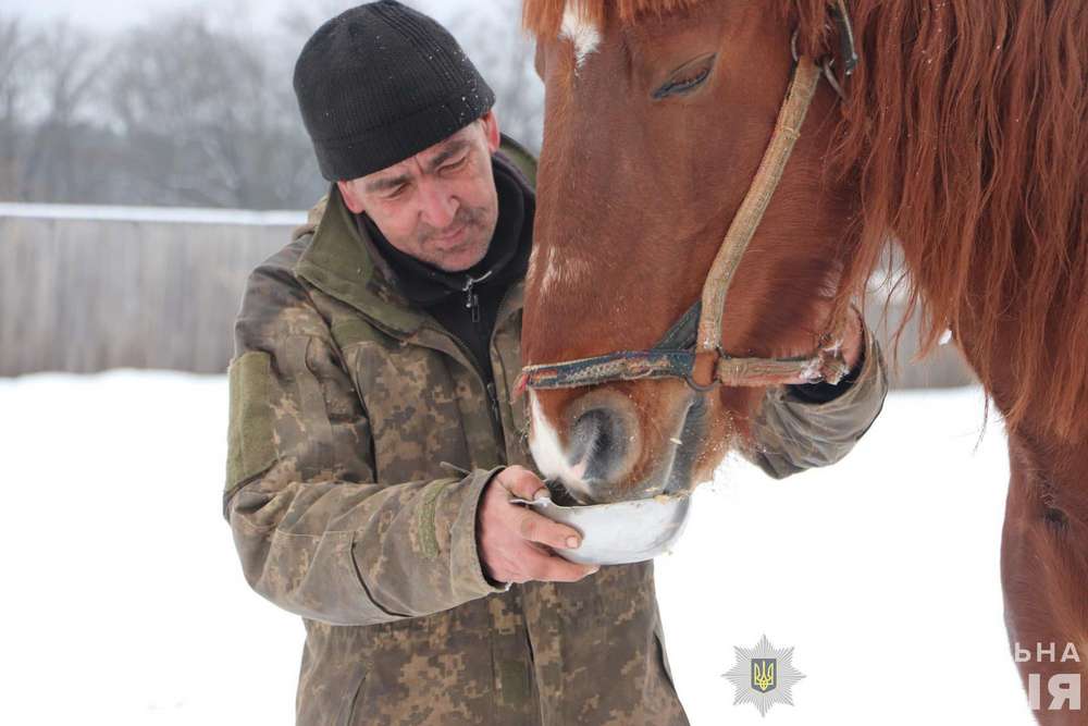 На Харківщині фермер покинув напризволяще 28 коней і втік до росії (фото)3