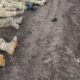 "Містер HIMARS прилетів" на полігон під Волновахою і мінуснув дві роти окупантів (фото, відео)