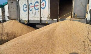 Висипали 180 тонн кукурудзи: в Укрзалізниці відреагували на черговий злочин польських протестувальників