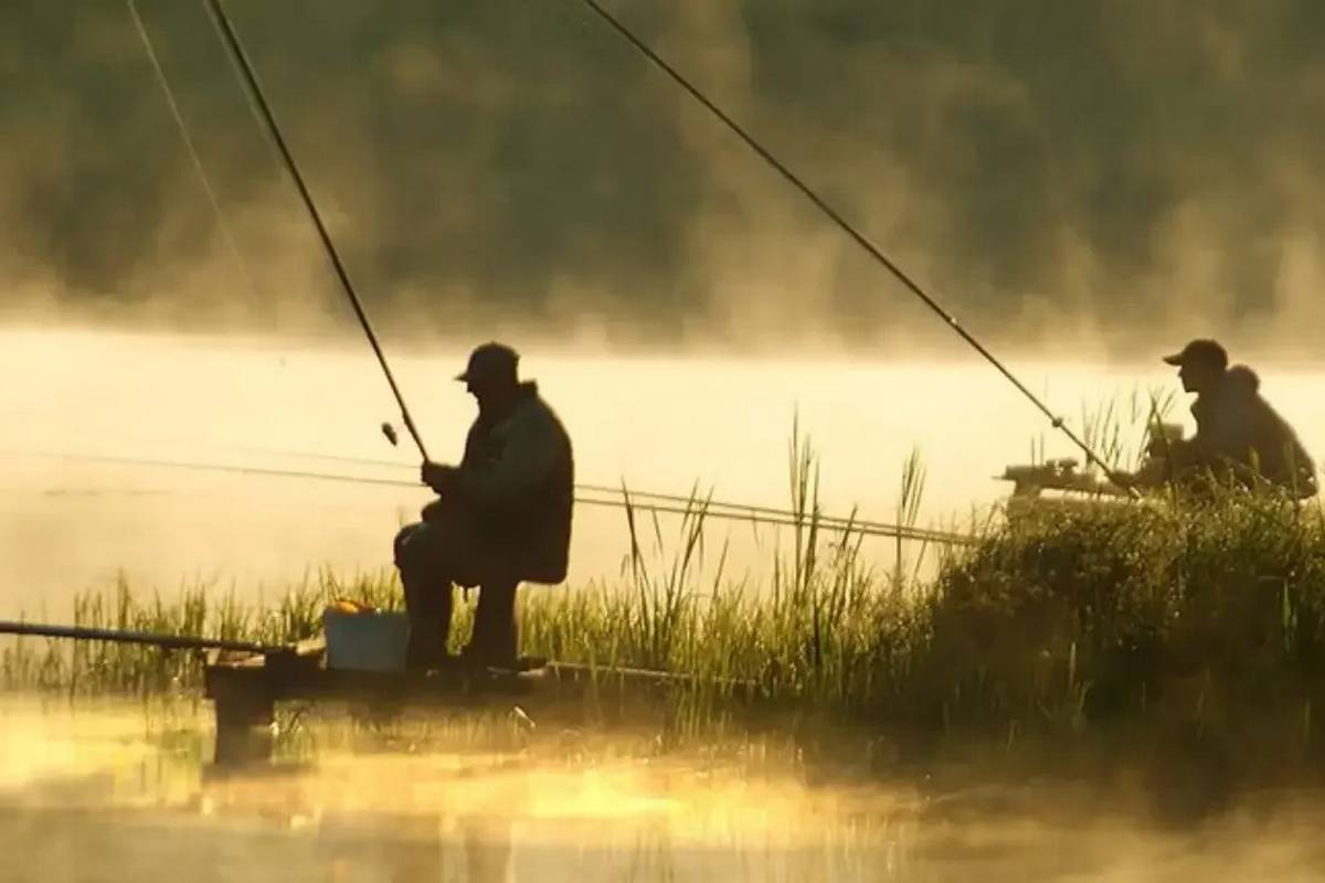 в Україні оновлять правила риболовлі
