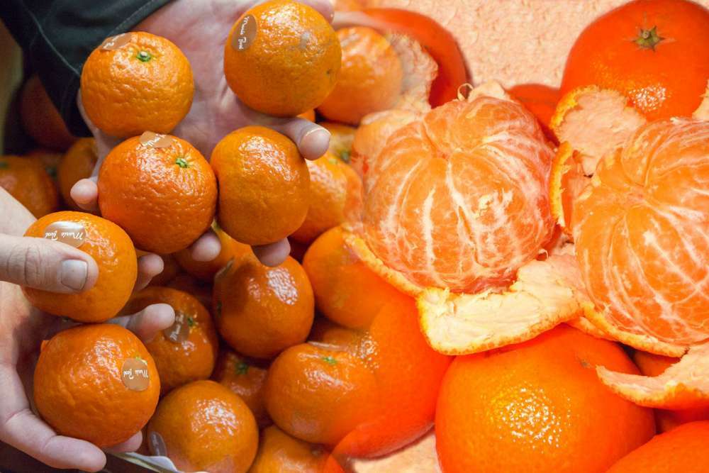 Чому мандарини блищать і як обрати безпечні фрукти