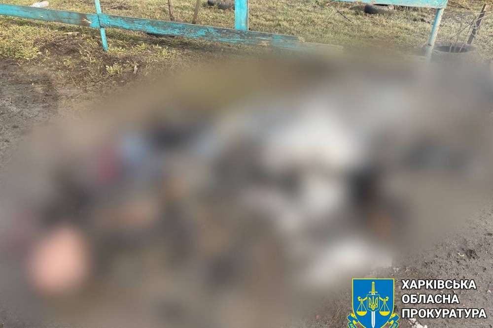 Обстріляли ферму та ринок: на Харківщині троє загиблих 13 лютого  (фото)
