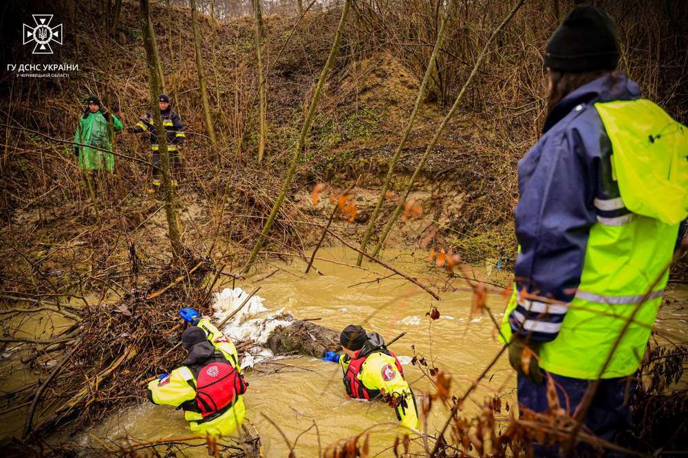 130 людей третю добу шукають восьмирічну дівчинку, яка впала з містка у річку на Буковині (фото)