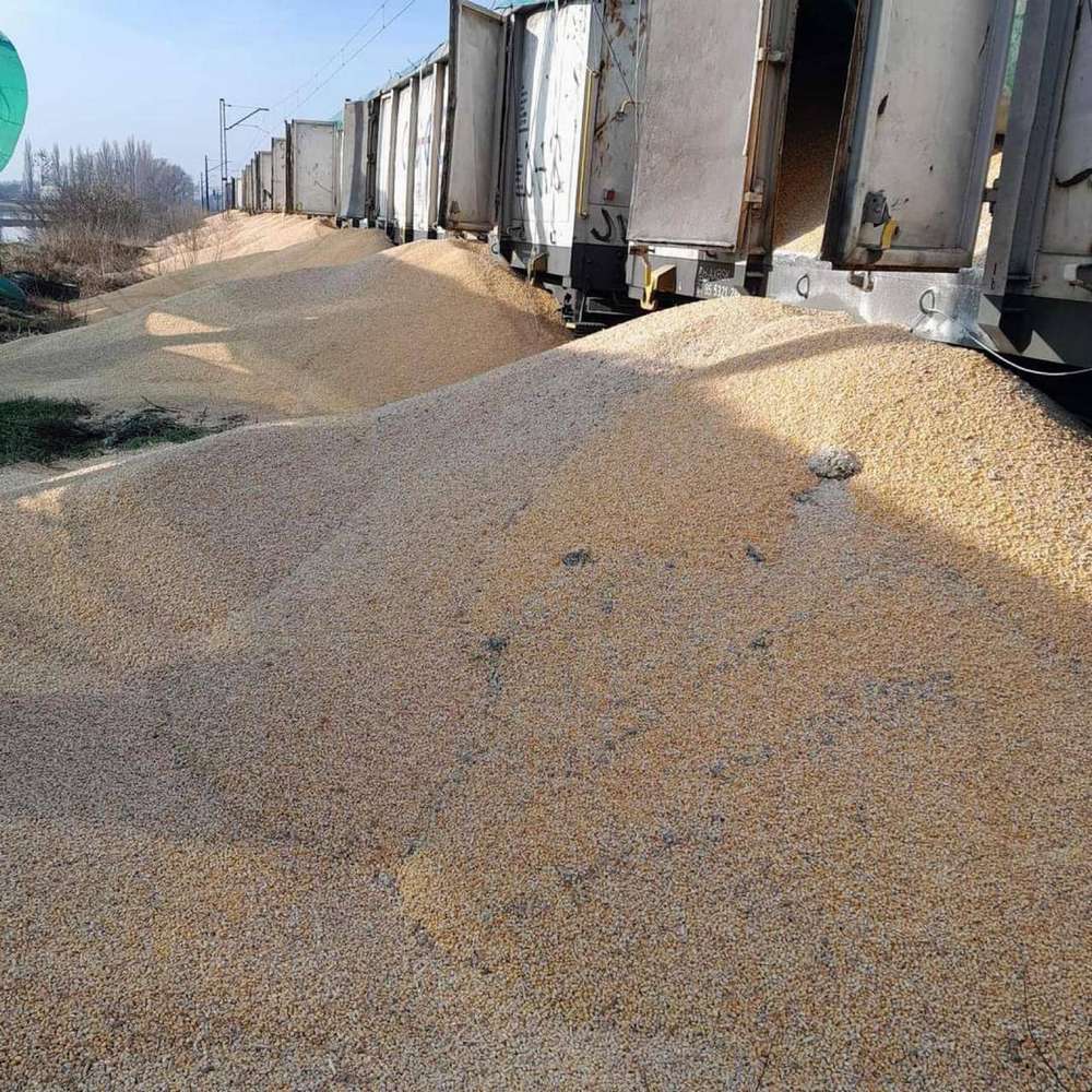 Висипали 180 тонн кукурудзи: в Укрзалізниці відреагували на черговий злочин польських протестувальників