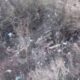 Розстріл українських військовополонених під Бахмутом 24 лютого: у прокуратурі зробили заяву (відео)