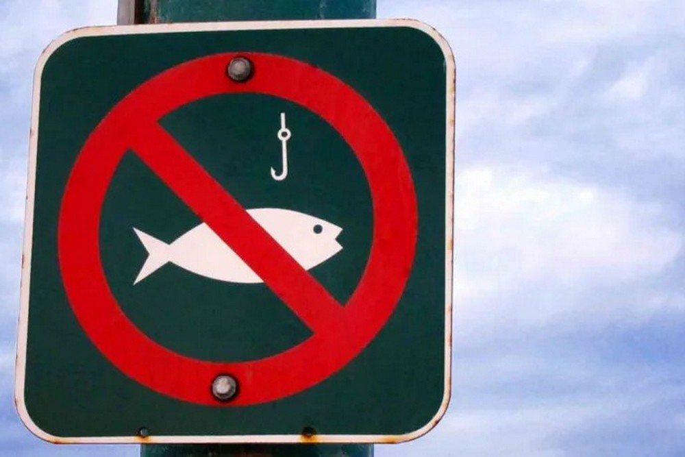 Заборона на вилов риби з 1 квітня – передбачено великі штрафи за порушення