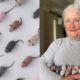84-річна переселенка створює іграшкових мишенят, які допомагають рятувати тварин під час війни