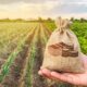 Уряд збільшує розмір грошової допомоги для аграріїв – куди звертатися