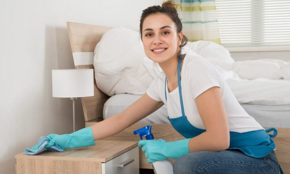 Професія домашній працівник ухвалено закон, що регулює право домробітників