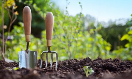 Що робити на городі та в саду у квітні – корисні поради