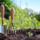 Що робити на городі та в саду у квітні – корисні поради
