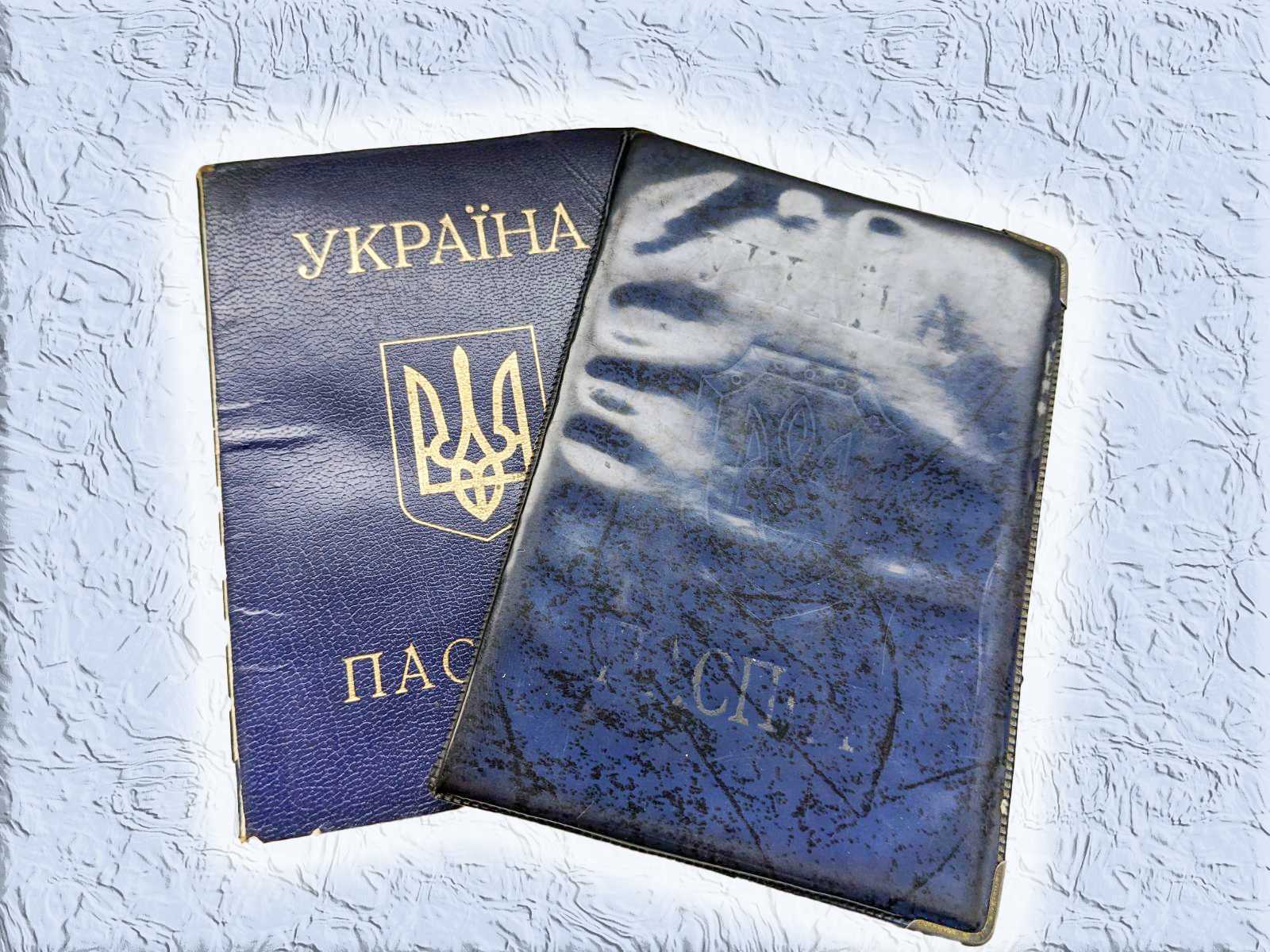 Російська мова в українських паспортах: Кремінь звернувся до Кабміну